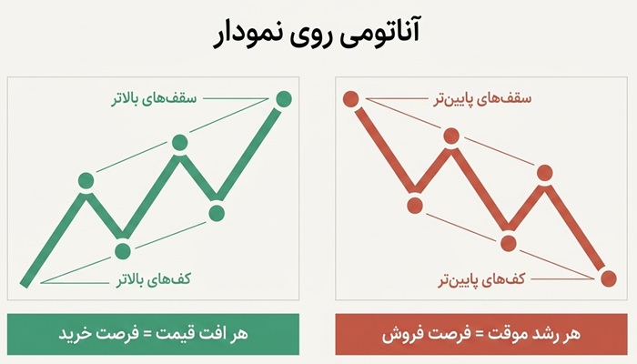 تفاوت بازار گاوی و خرسی، خرید در کدام بهتر است؟ 2 مقایسه بازار خرسی و گاوی