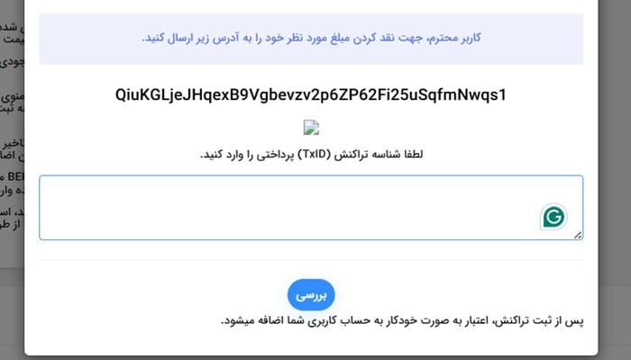 نقد ارز دیجیتال